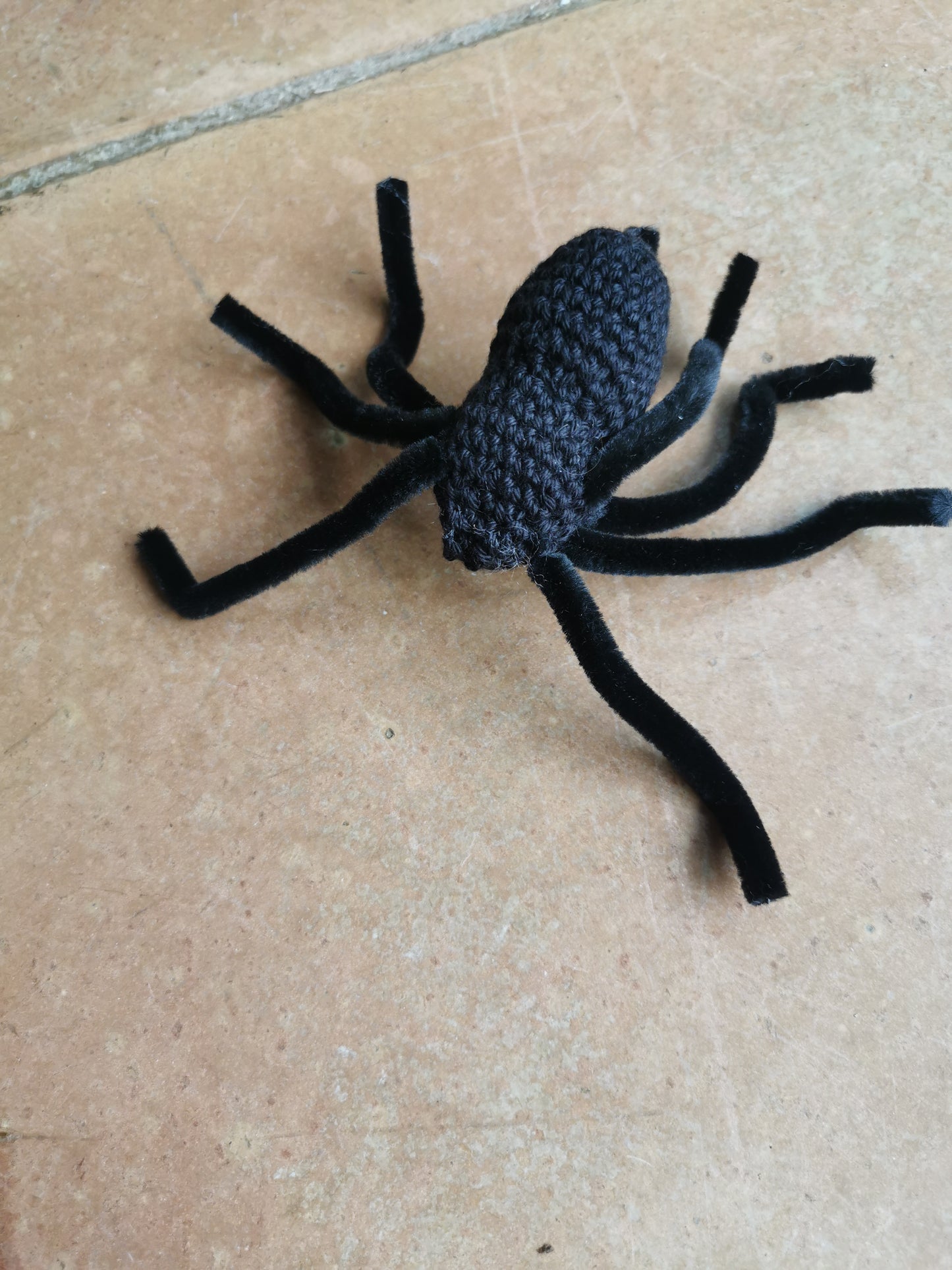 Araignée mygale