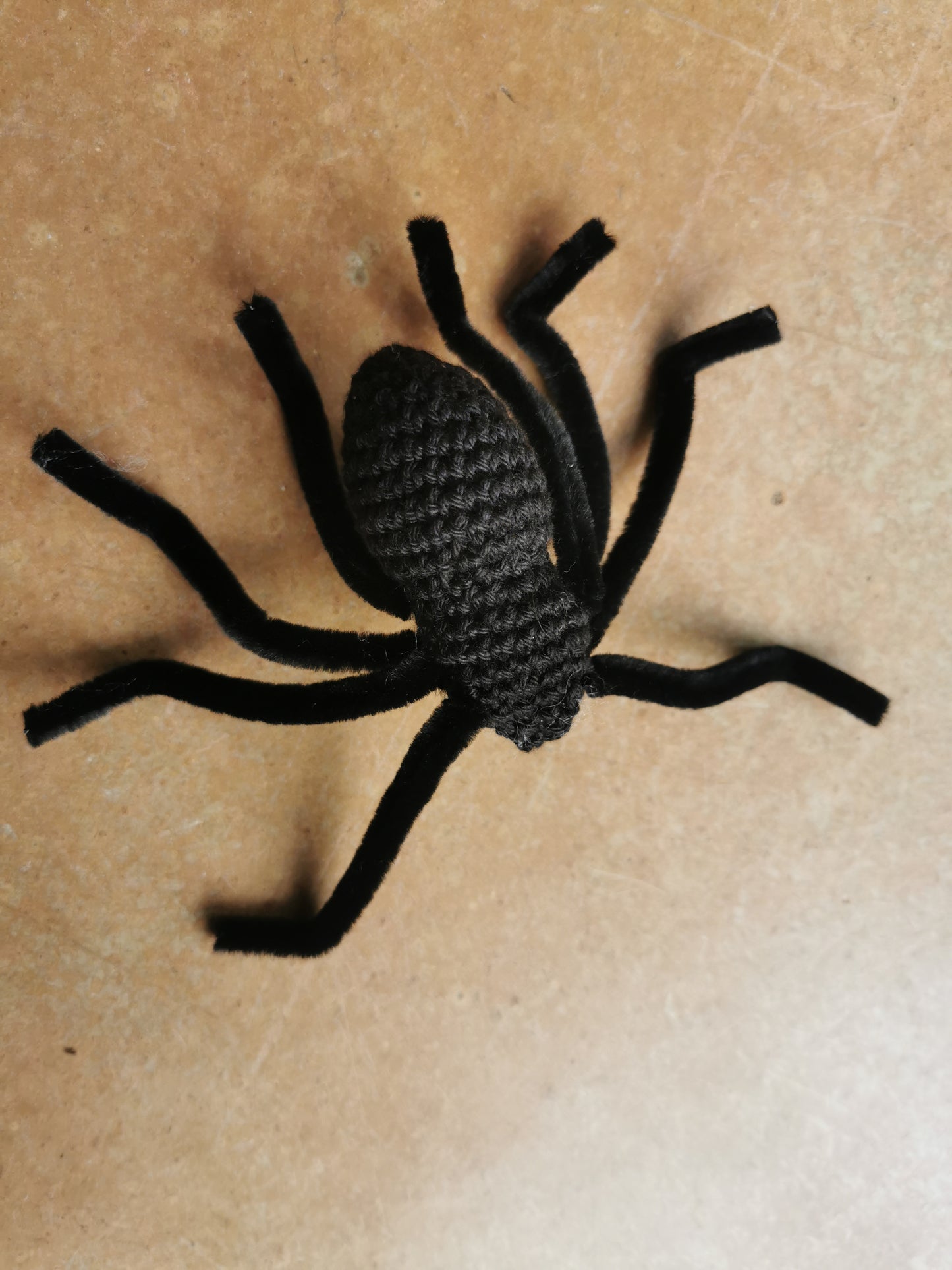 Araignée mygale