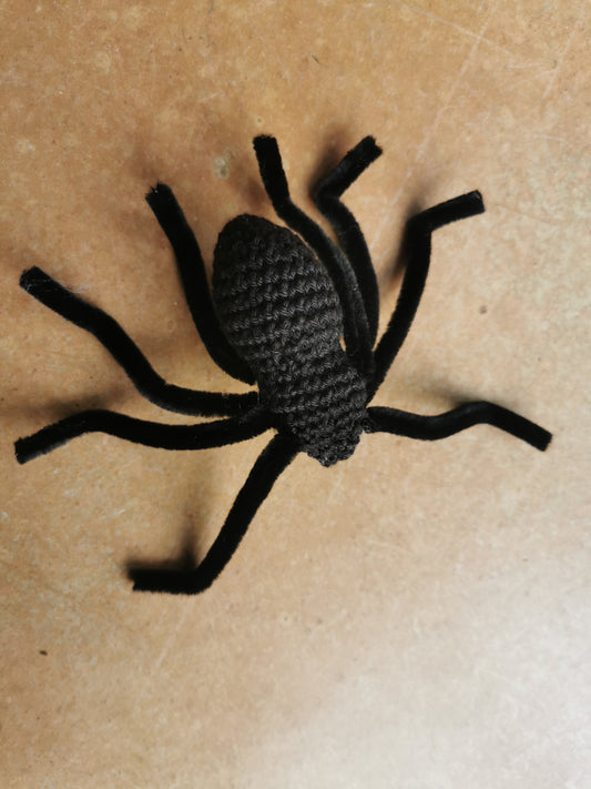 Araignée mygale