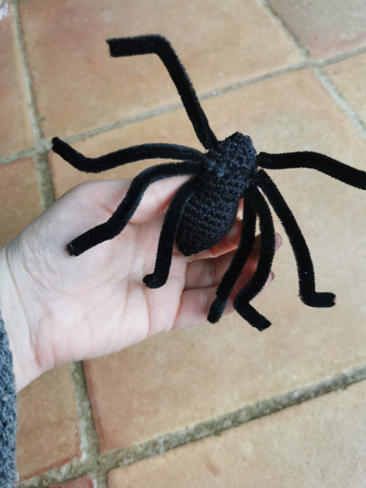Araignée mygale